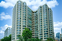 25 Maitland